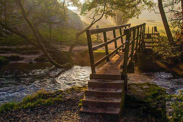A wooden bridge, with steps up to it, in the evening sunshine