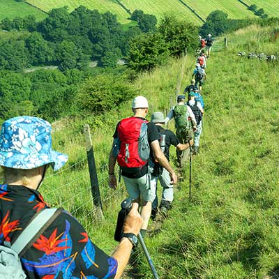 A large number of people in single file walking down a grassy hill in summer