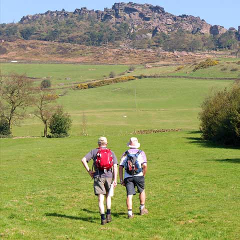 Footpath in dark woods leading out into sunshine