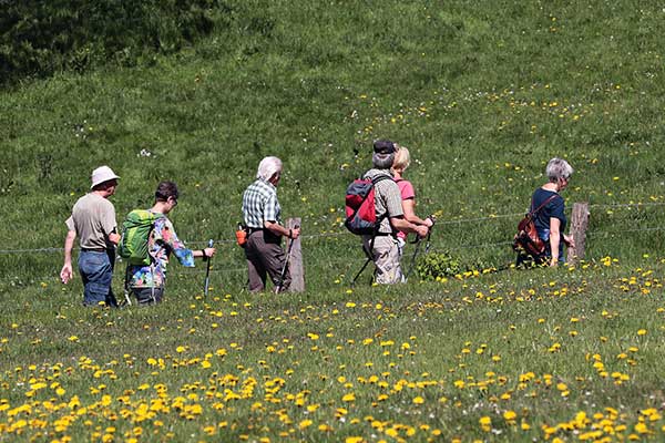 Footpath blocked with a pallet